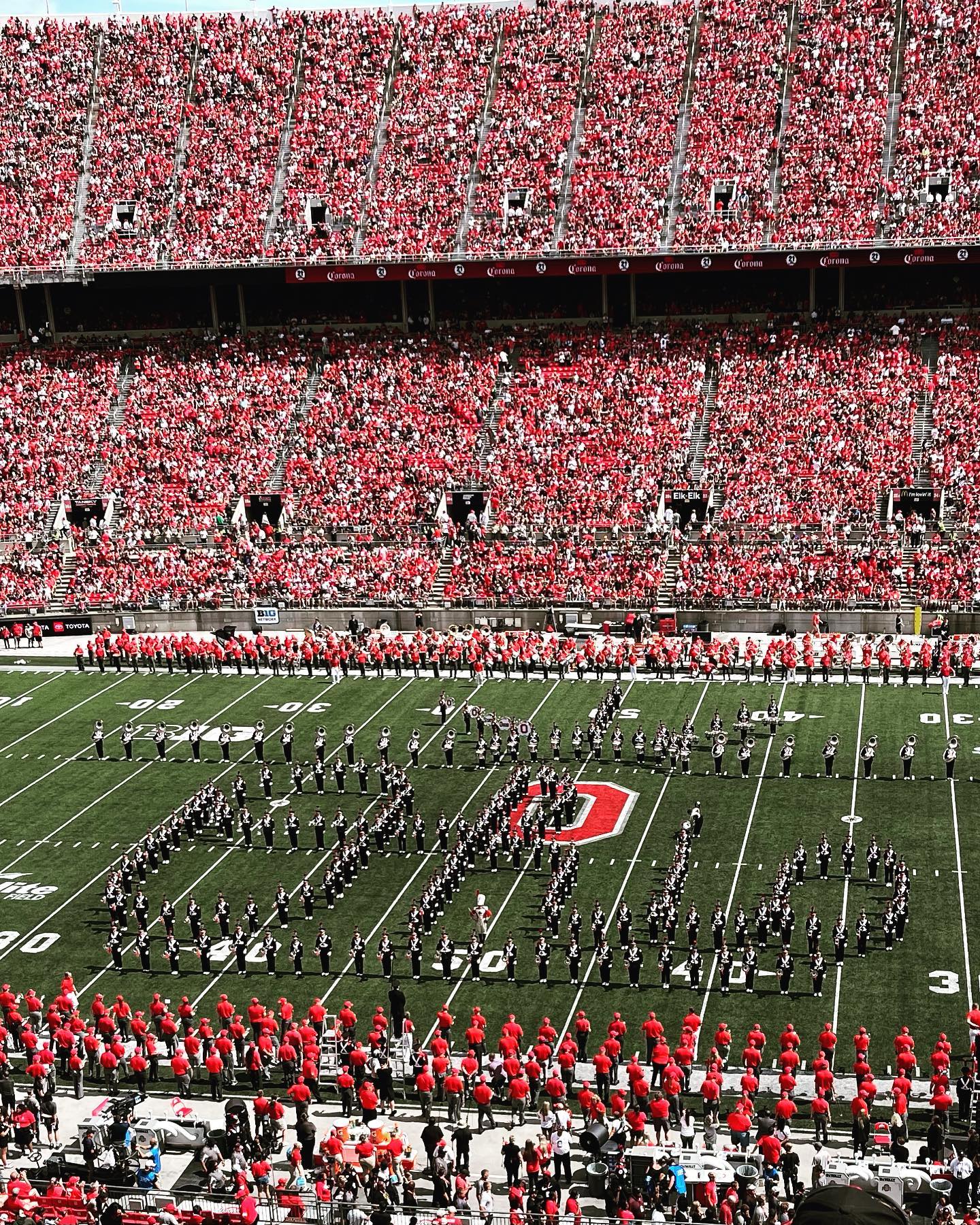 TBDBITL